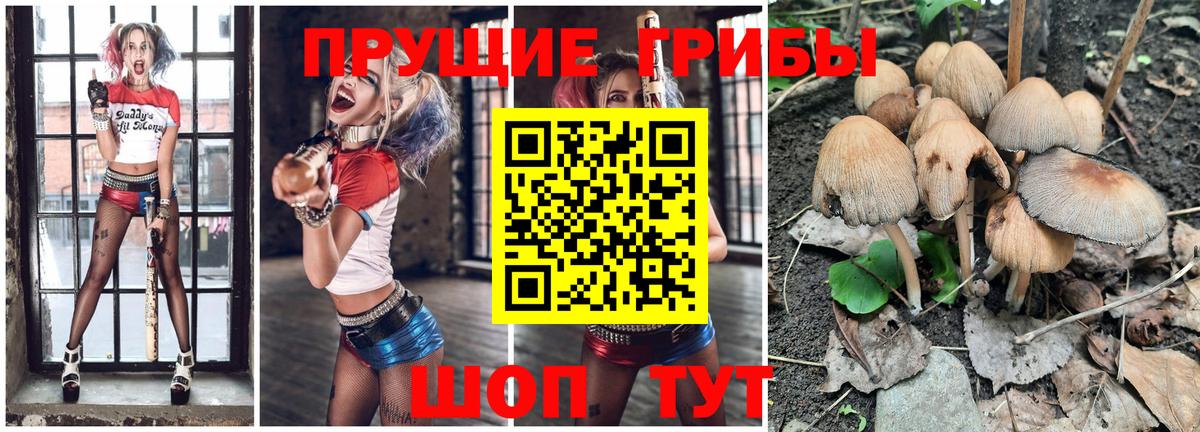 Псилоцибиновые грибы GOLDEN TEACHER Шахты