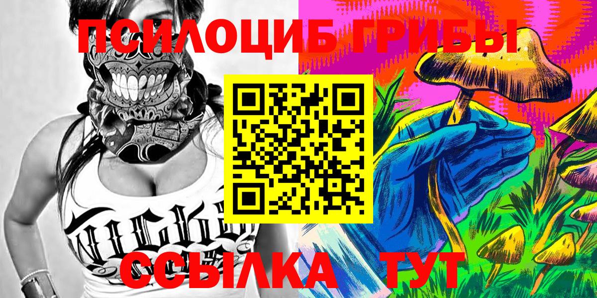 Шахты  купить   Вход с VPN  Псилоцибиновые грибы Psilocybine cubensis 