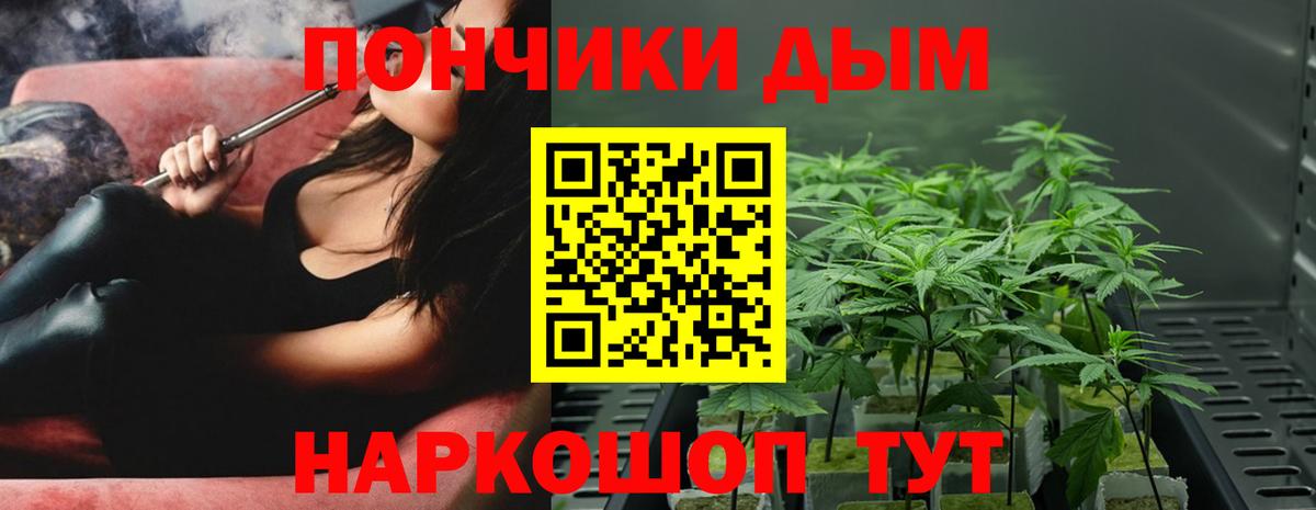 Шахты  Каннабис ГИДРОПОН  Марихуана семена  Вход с VPN 